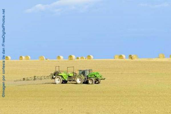 agroecologia ¿Por qué la agroecología es la solución al hambre y a la inseguridad alimentaria?